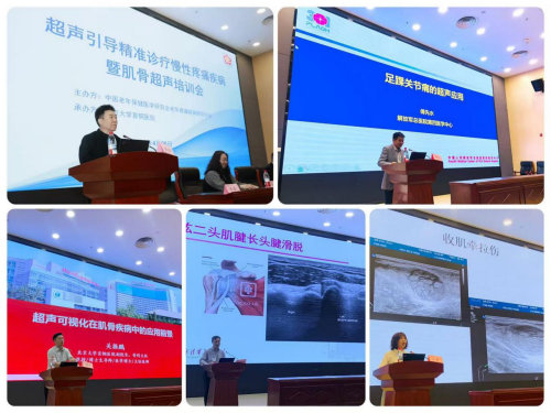 图片1_副本1.png