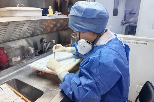 病理医生 (1).jpg