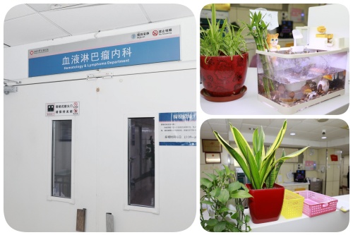 血液科环境.jpg 血液科环境.jpg